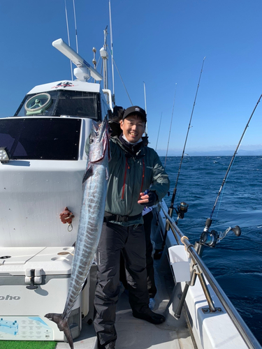 カマスサワラの釣果