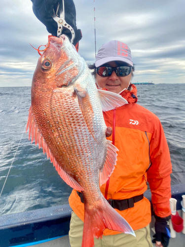 マダイの釣果