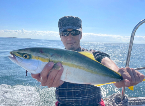 ハマチの釣果