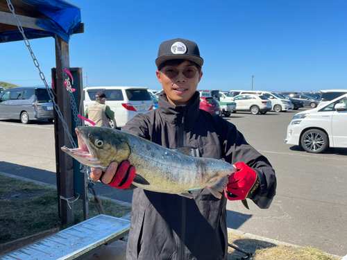 シロザケの釣果