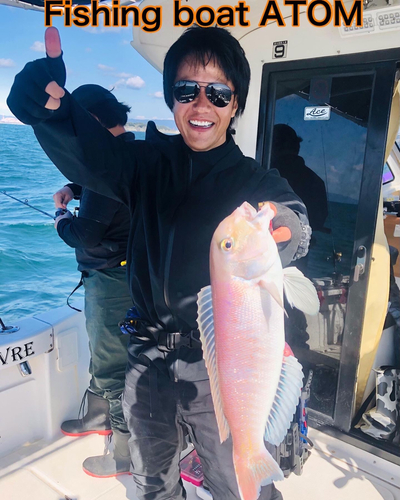 シロアマダイの釣果