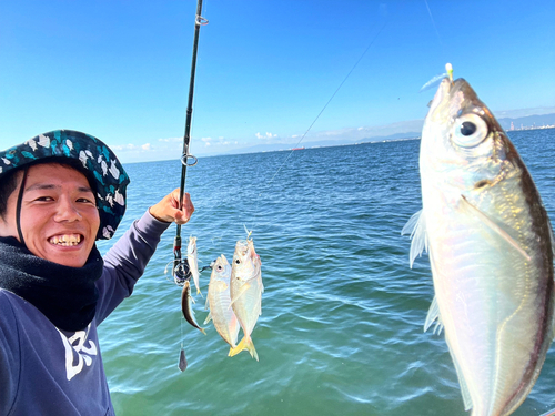 マアジの釣果