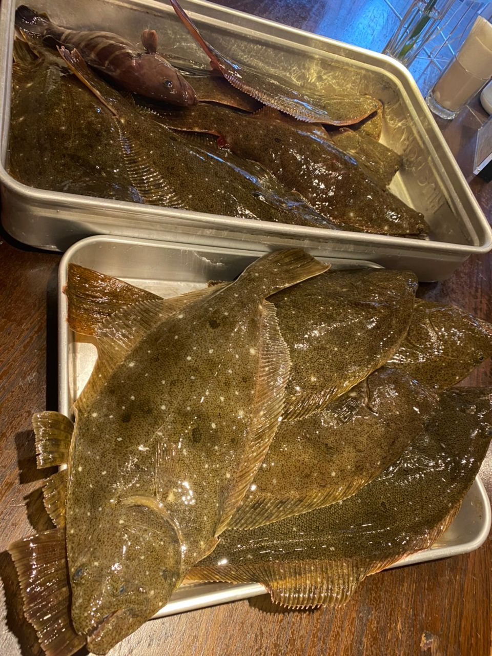 まぁくん@DAZNさんの釣果 2枚目の画像