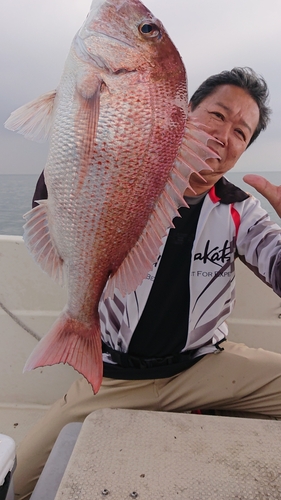 タイの釣果