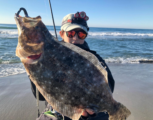 ヒラメの釣果