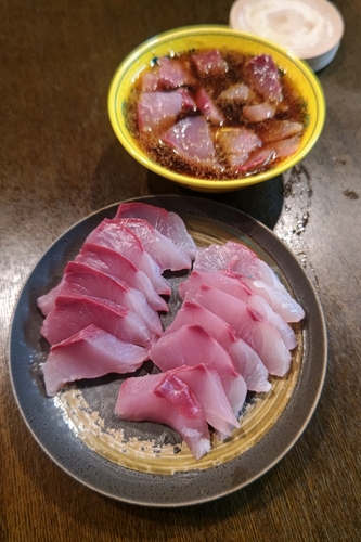 カンパチの釣果