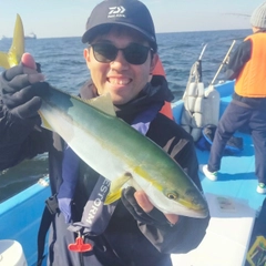 イナダの釣果