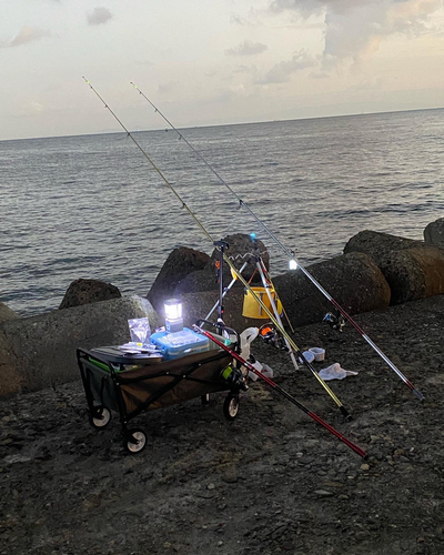 カワハギの釣果