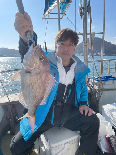 マダイの釣果