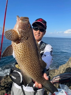 オオモンハタの釣果