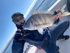 キビレの釣果