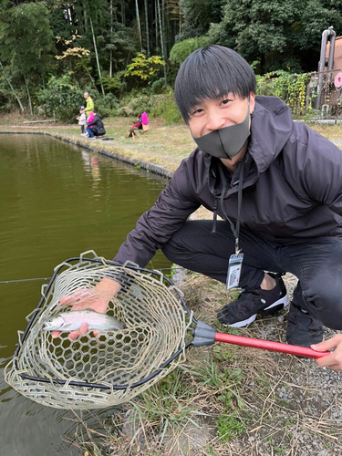 レインボートラウトの釣果