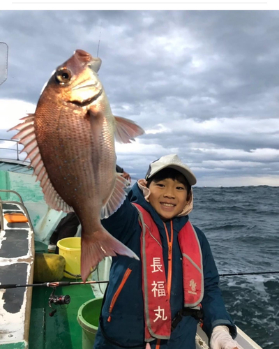 タイの釣果