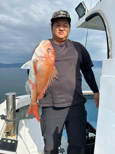 マダイの釣果