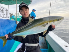 ハマチの釣果