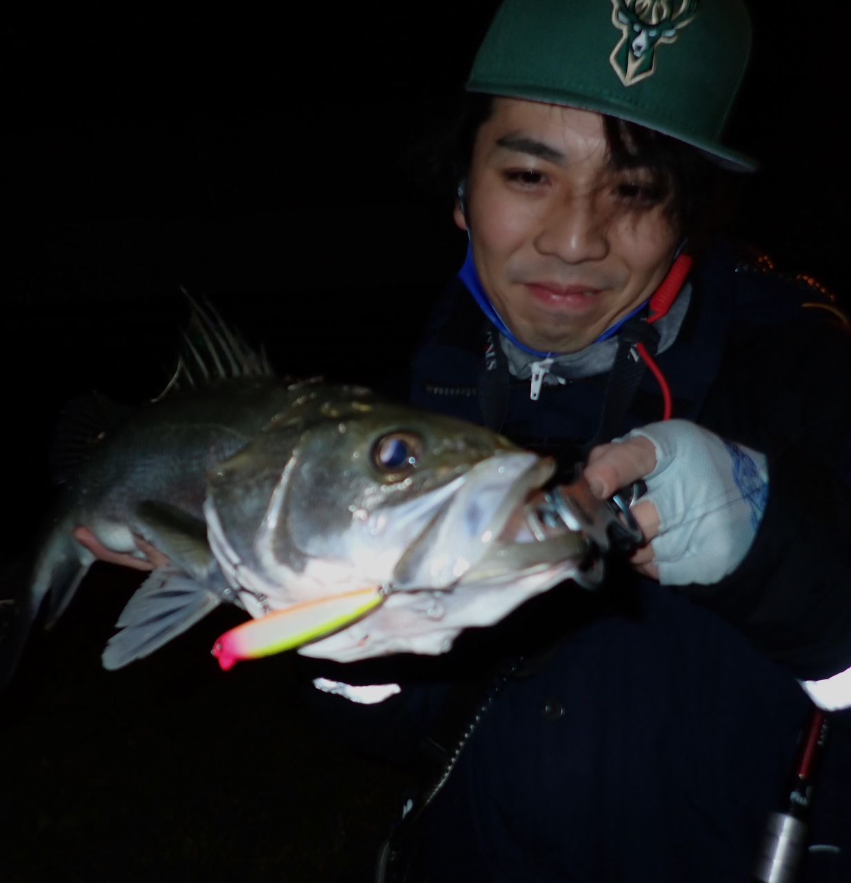 シーバス