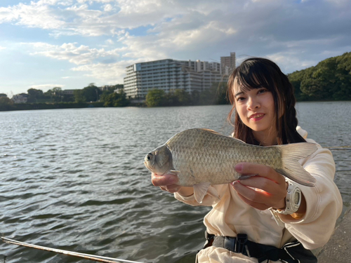 ヘラブナの釣果