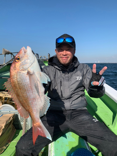 マダイの釣果