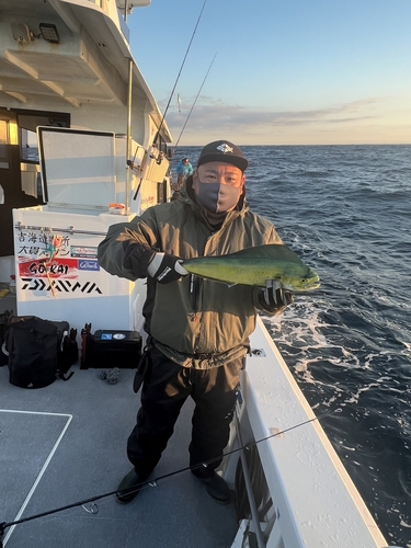 イナダの釣果