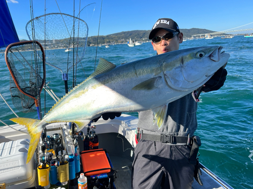 ブリの釣果