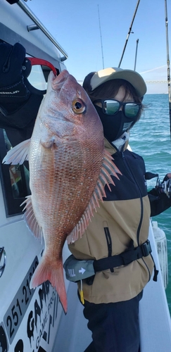 タイの釣果