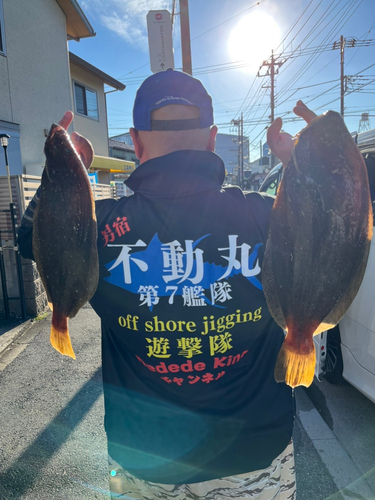 ヒラメの釣果