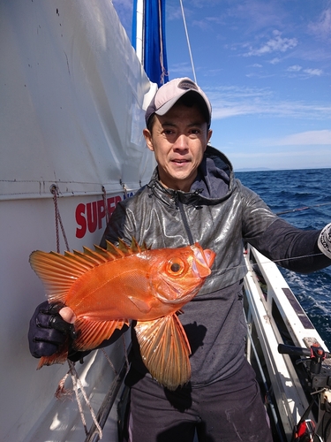 チカメキントキの釣果