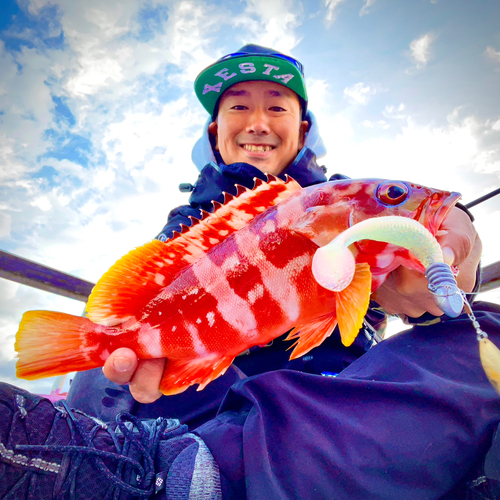 アカハタの釣果