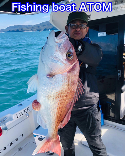 アマダイの釣果