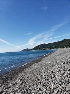 タカノハダイの釣果