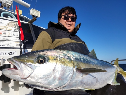 ヒラマサの釣果