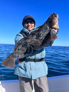 アイナメの釣果