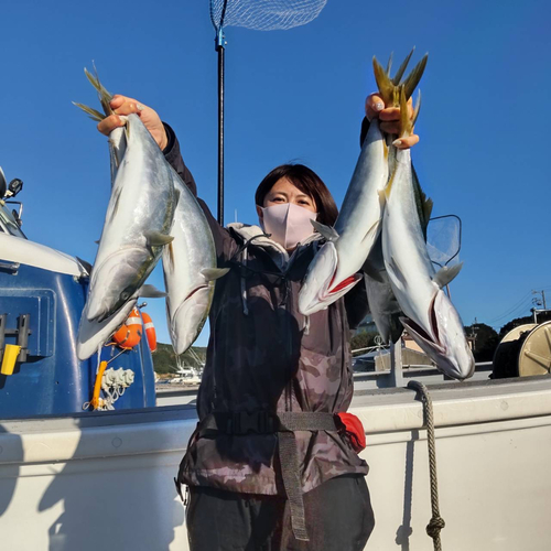 ハマチの釣果