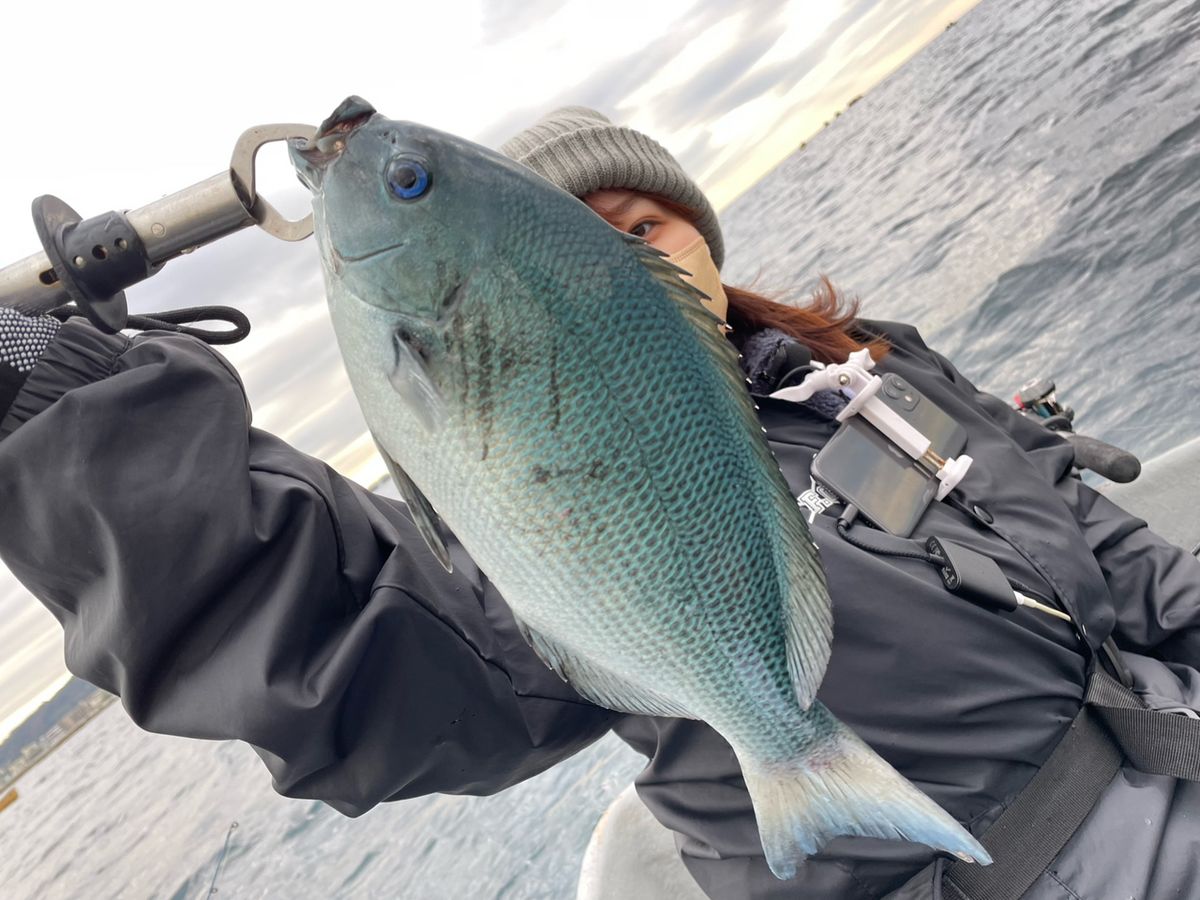 あや🐟さんの釣果 2枚目の画像