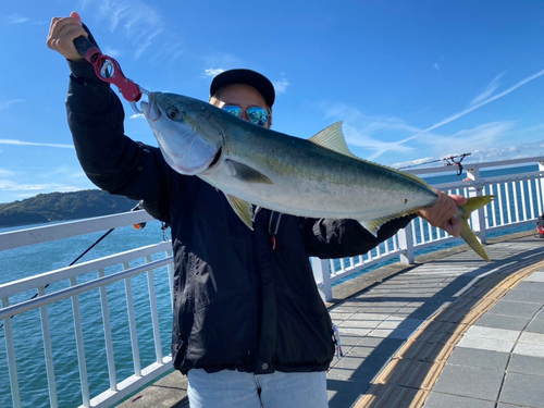 メジロの釣果