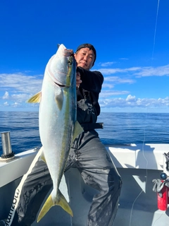 ブリの釣果