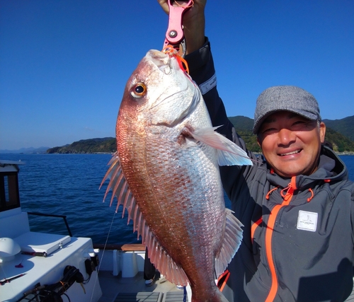 マダイの釣果