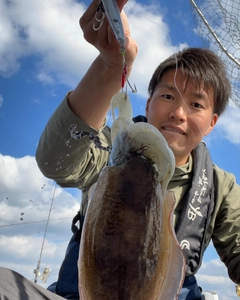 コウイカの釣果