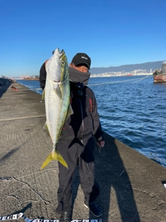 メジロの釣果