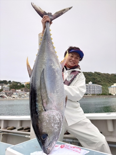 キハダマグロの釣果