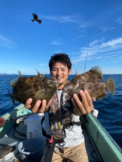 カワハギの釣果