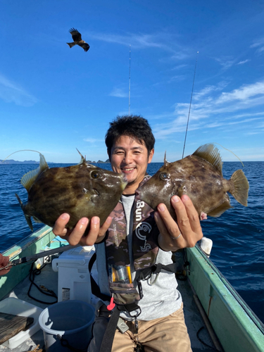 カワハギの釣果