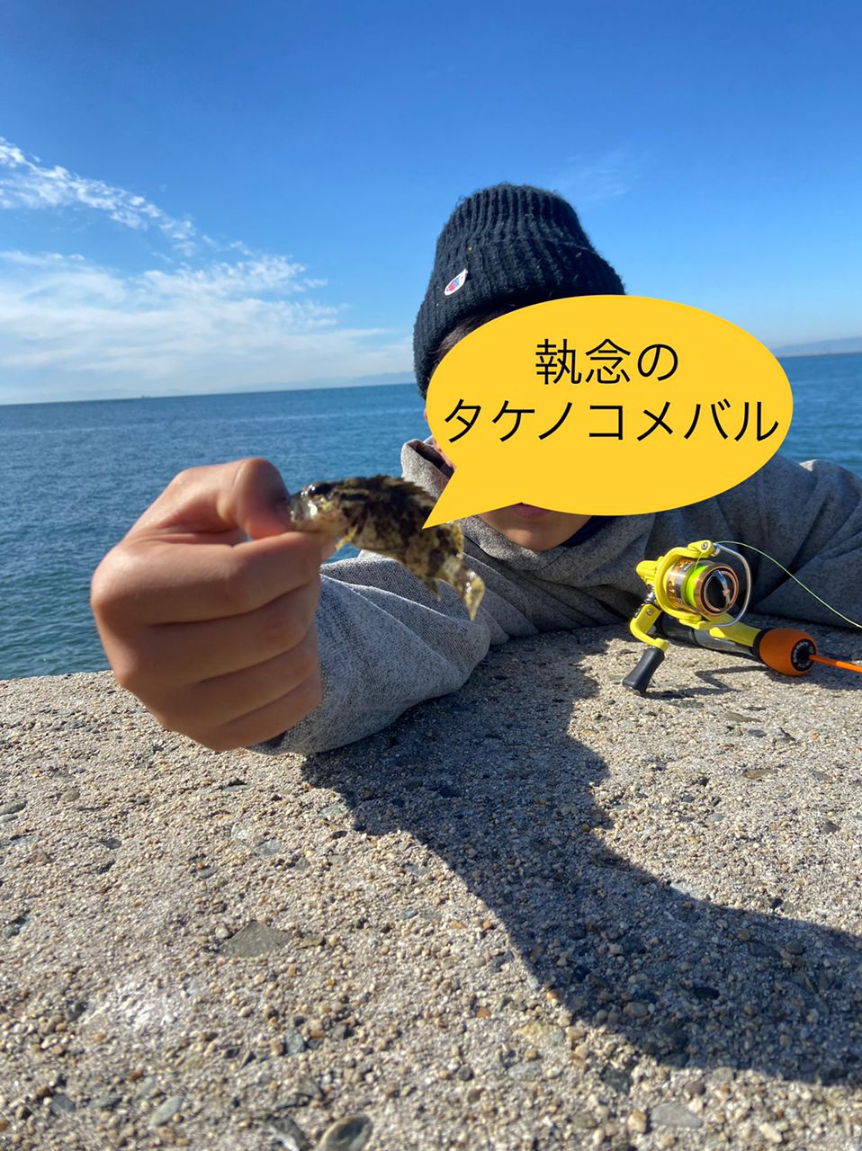 タケノコメバル