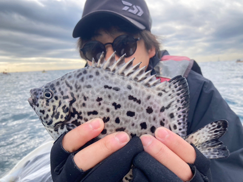 イシガキダイの釣果