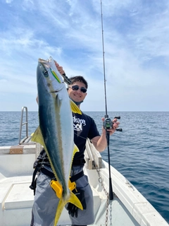 ヒラマサの釣果