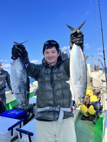 カツオの釣果