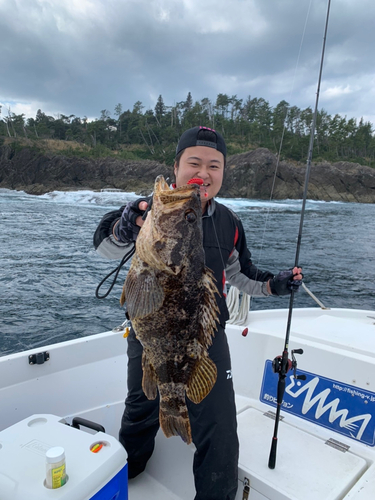 ベッコウゾイの釣果