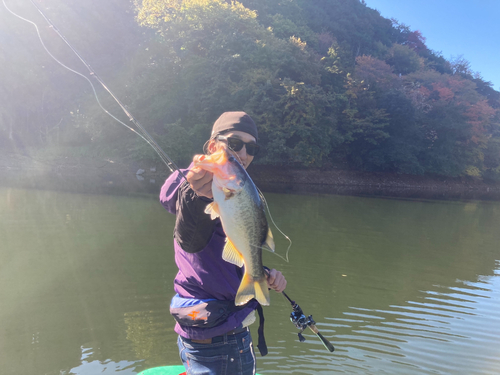 ブラックバスの釣果