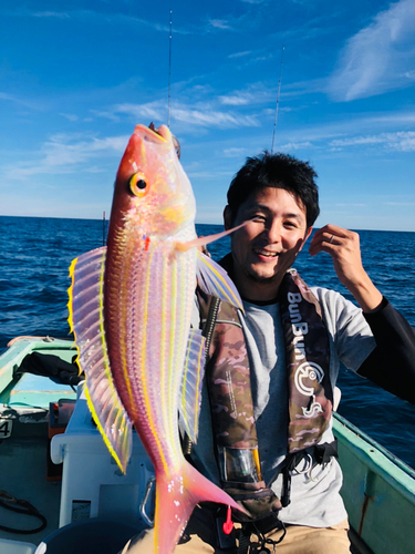 イトヨリダイの釣果