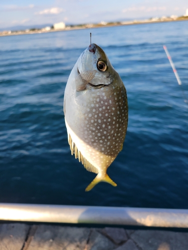 釣果